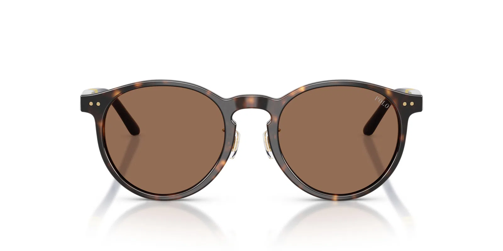 Polo 4236F Sunglasses - view 12